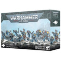 Warhammer: 40K Space Wolves Gray Hunters